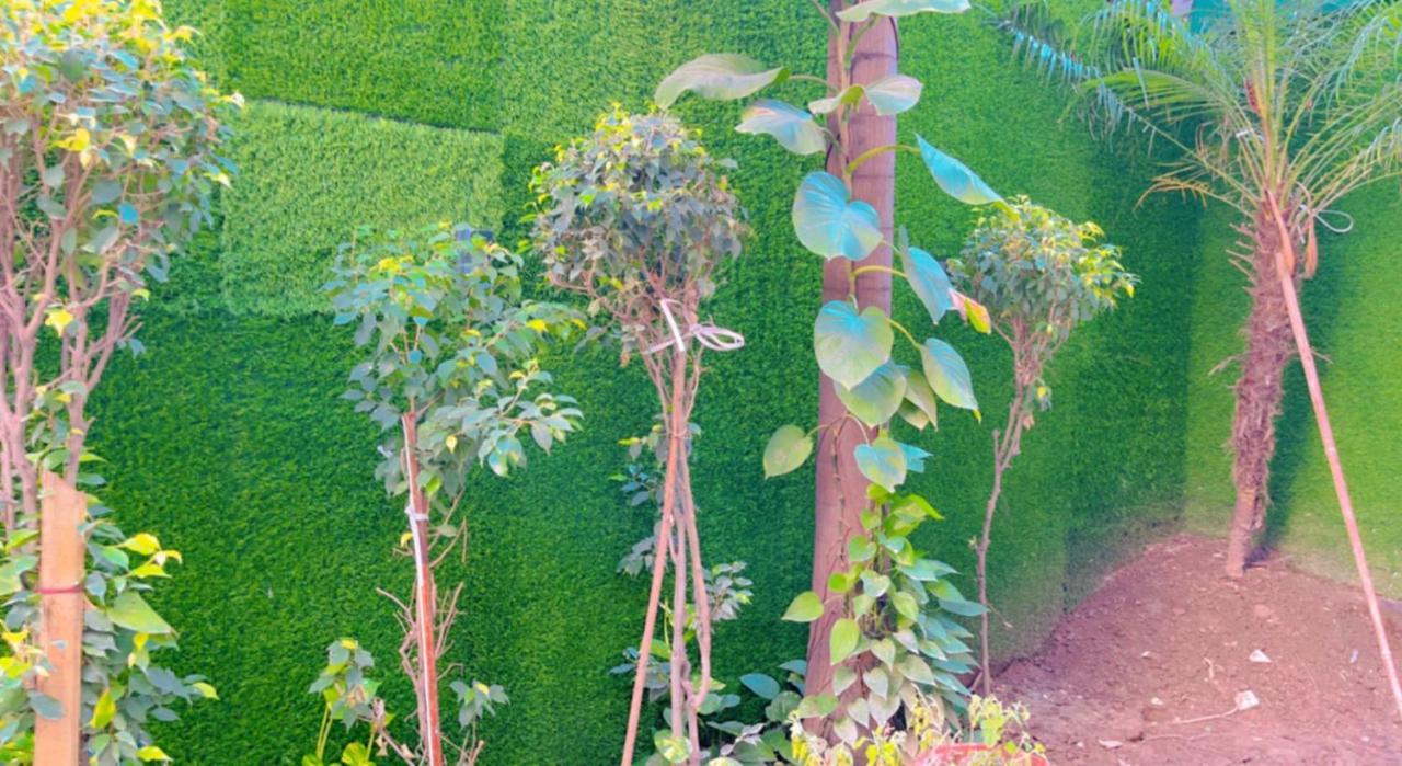 City View With Garden -5 Mins Walk From Golden Temple Amritsar Buitenkant foto